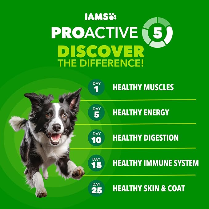 IAMS Proactive Health Adult Minichunks Dry Dog Food, Beef & Rice, 30 lb | Real beef #1 ingredient, no fillers or artificial flavors, glucosamine & chondroitin, supports bones, joints & muscles
