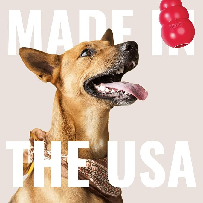 KONG Goodie Bone - Classic Durable Natural Rubber Dog Bone, Supports Mental Engagement - Treat Dispensing - Red - for Medium Dogs (Pack of 2)