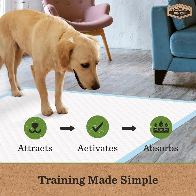 Dr. Pol Dog Training Pads, XL 28" x 30", Fresh Scented, 100 Count