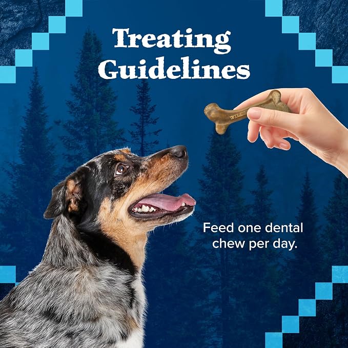 Blue Buffalo Wilderness Large Dog Dental Chews, Grain-Free, 10 oz | Reduces Tartar & Plaque, Freshens Breath, Sized for Dogs 50 lbs. and Up, No Artificial Preservatives