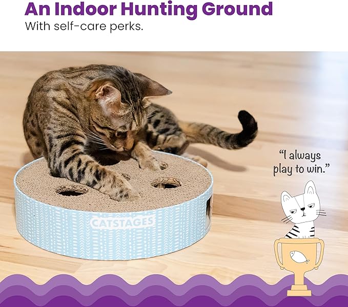 Catstages Scratch N' Hunt Interactive Cat Puzzle Toy with Scratcher, 11" | 7 Hunting Holes, 3 Balls, Corrugated Scratching Pad for Nail Care, Engages Hunting Instincts, Enrichment for Cats & Kittens