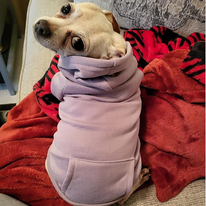 Soft Dog Hoodies for Small Dogs, Warm Fleece Puppy Clothes with Pocket | Jecikelon cold weather coat, cute puppy costume, breathable sweatshirt for dogs girl & boy, machine washable, easy on & off