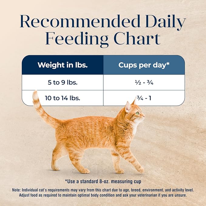Blue Buffalo Basics Turkey Grain-Free Dry Cat Food, 11 lb | Skin & Stomach Care, Real Turkey #1 Ingredient, Limited Ingredient Diet, Antioxidant-Rich LifeSource Bits, Skin & Coat Health