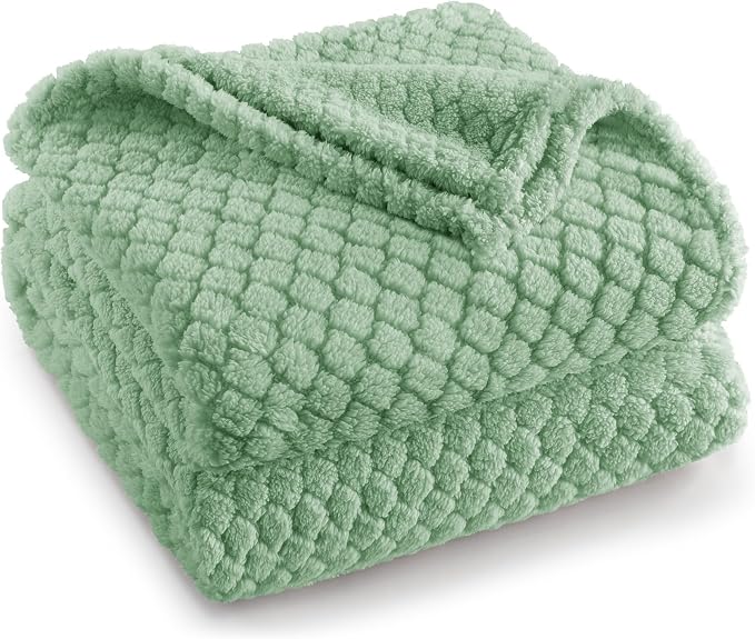 Exclusivo Mezcla Soft Fleece Queen Size Blanket for Bed, Sage Green | Jacquard Lightweight Cozy Bed Blanket, Breathable Decorative Fuzzy Textured All Season Use, 90x90 Inches