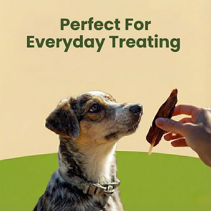 Pet 'n Shape Chik 'n Skewers – Natural Duck Wrapped Rawhide Chew Dog Treats - 1 Pound
