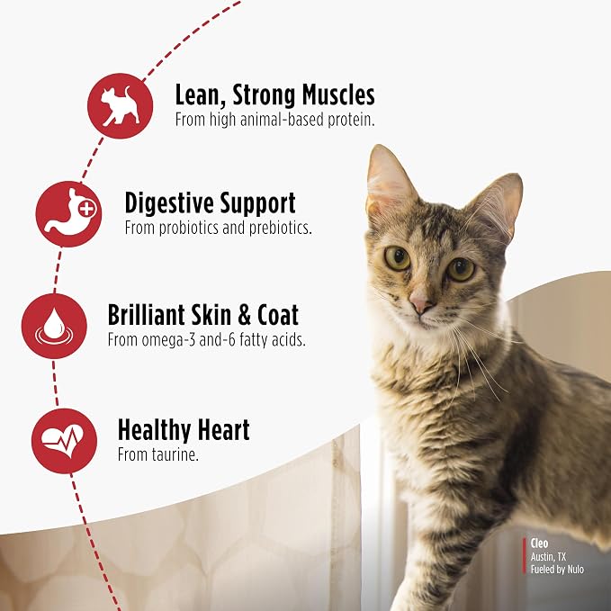 Nulo Freestyle Dry Cat Food Indoor - Duck & Cod, High Protein Grain-Free Dry Cat Food, Natural Kibble with Probiotics and Omegas Fatty Acids, 2lb Bag