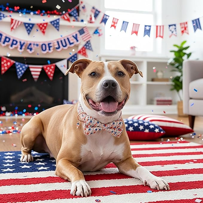 ADOGGYGO Patriotic Dog Collar with Bow Tie, Detachable Ice Cream Print Bowtie, Adjustable 4th of July Collar for Large Dogs (L)