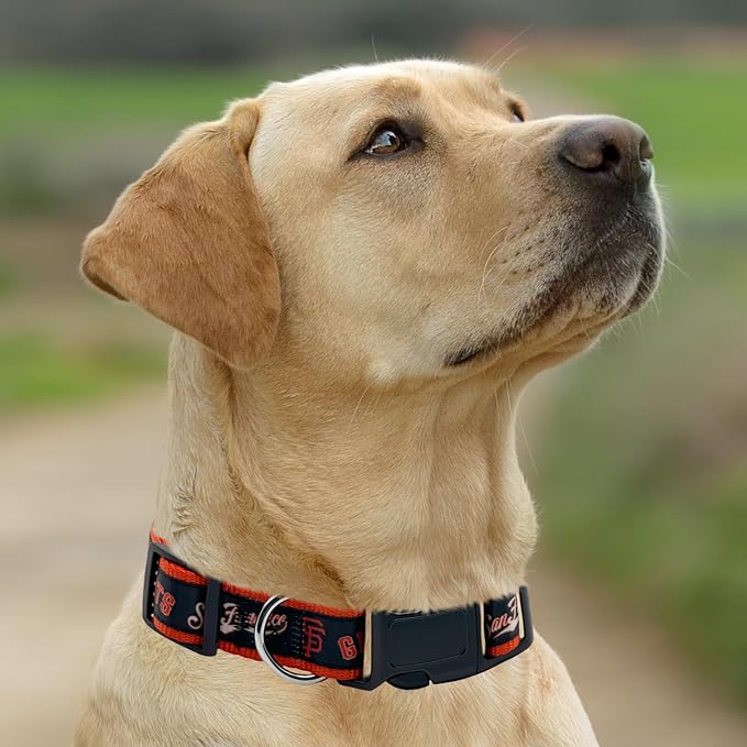 MLB San Francisco Giants Licensed PET COLLAR- Heavy-Duty, Strong, and Durable Dog Collar. Available in 29 Baseball Teams and 4 Sizes
