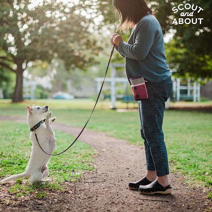 P.L.A.Y. Scout & About Deluxe Training Treat Pouch with Poop Bag Dispenser - 3 Way Wear, Detachable & Adjustable Strap, Reflective Strips, Water-Resistant Back Zipper Pocket, Squeaker (Wildflower)