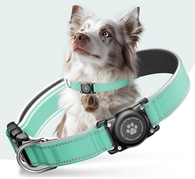 Upgrade Dog Collar with AirTag Holder, IP68 Waterproof, Aqua, L | Built-in Water Resistant AirTag holder, 1000D Nylon, Reflective Stitching for Night Visibility, Soft padding for Comfort