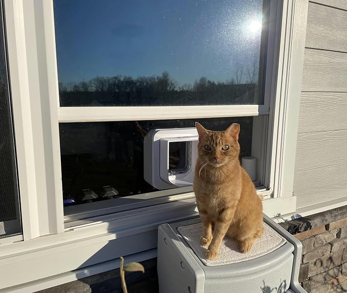 Custom Cat Door Window Insert - Plexiglass | Insulated & Weather-Sealed | Tool-Free Install for Horizontal & Vertical Windows | Microchip Lock Options | Made in USA | Small Dogs & Pets