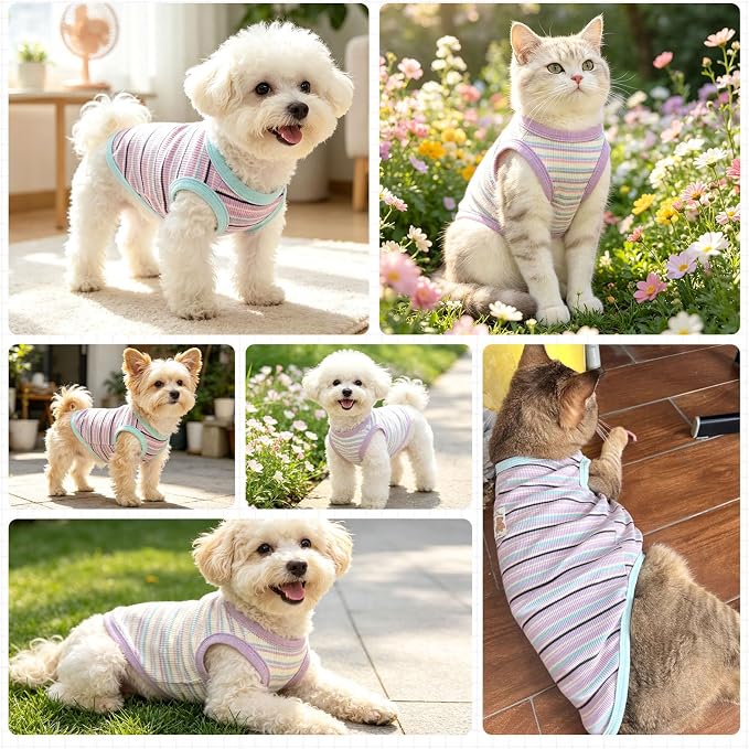 2 Pack Small Dog Shirts Striped Dogs Cats Clothes, Purple&Blue M | Soft Pet Tee Shirt, Breathable Dog Outfits with Exquisite Edging, Small Puppy Pajamas Chihuahua Yorki Party Daily Costumes