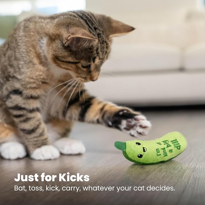 Catstages Crunchy Pickle Kicker Chew Cat Toy, Catnip & Dental Mesh, 6.5"
