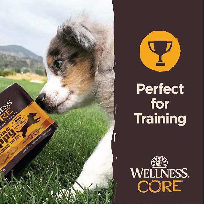 Wellness CORE Brainiac Soft Puppy Training Treats, Natural, Grain Free, Beef and Turkey Recipe, 6 Ounce Bag (Pack of 2)
