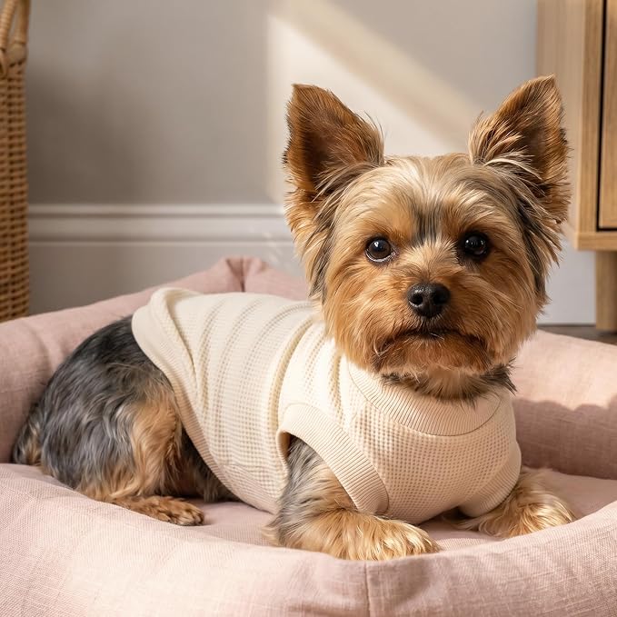1 Pack Dog Shirt for Small Supplies Functional Waffle Dog Clothes Warm Soft Sweatshirt Outfit for Dogs Cats Pet Apparel