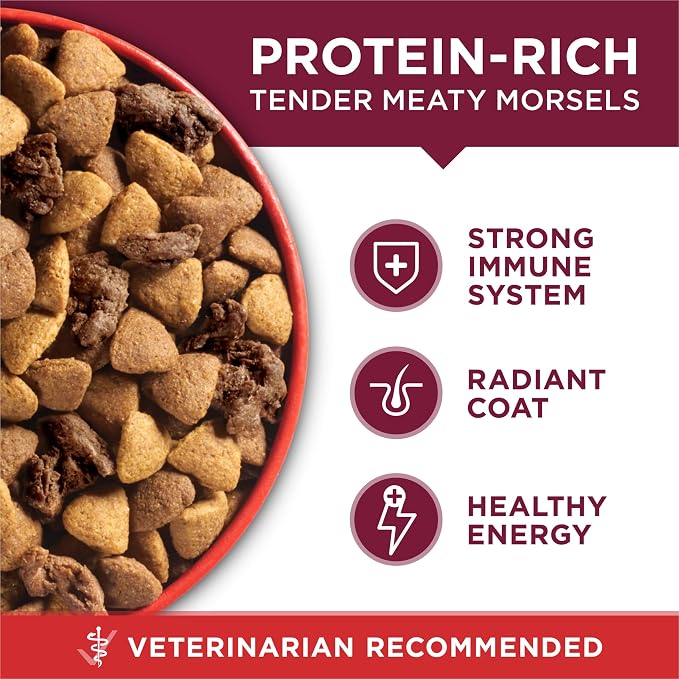 Purina ONE Small Bites Beef & Rice Dry Dog Food, 16.5 lb Bag