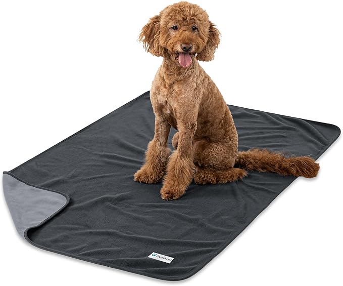 PetAmi Waterproof Dog Blanket for Couch, Pee Proof Reversible Cat Blanket for Sofa Bed Furniture Protector, Soft Fleece Washable Pet Throw for Dogs Cats Puppies Kittens, 40x60 Gray