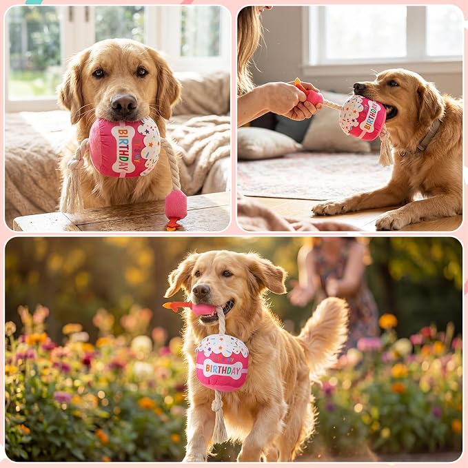Dansydaisy Dog Birthday Cake Toy Squeaky Plush Gift,1st,Rose Pink