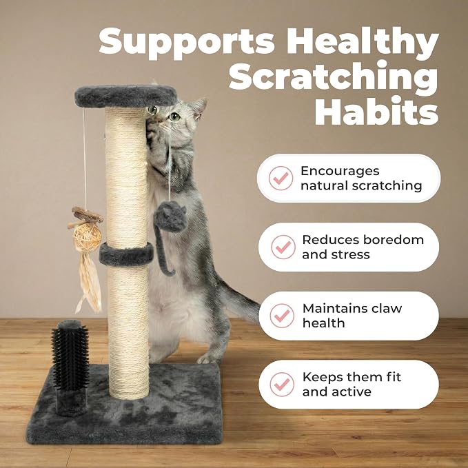 Best Pet Supplies Catify Cat Scratching Post - Gray H: 33" | 15" x 15" x 33", Interactive Cat Pole, Built-In Toys, Durable Sisal, Furniture Protector, For Indoor Kittens and Cats