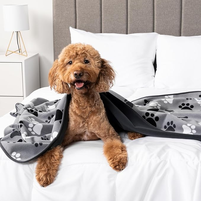 PetAmi Waterproof Dog Blanket for Couch, Pee Proof Reversible Cat Blanket for Sofa Bed Furniture Protector, Soft Fleece Washable Pet Throw for Dogs Cats Puppies Kittens, 40x60 Paw Print Gray