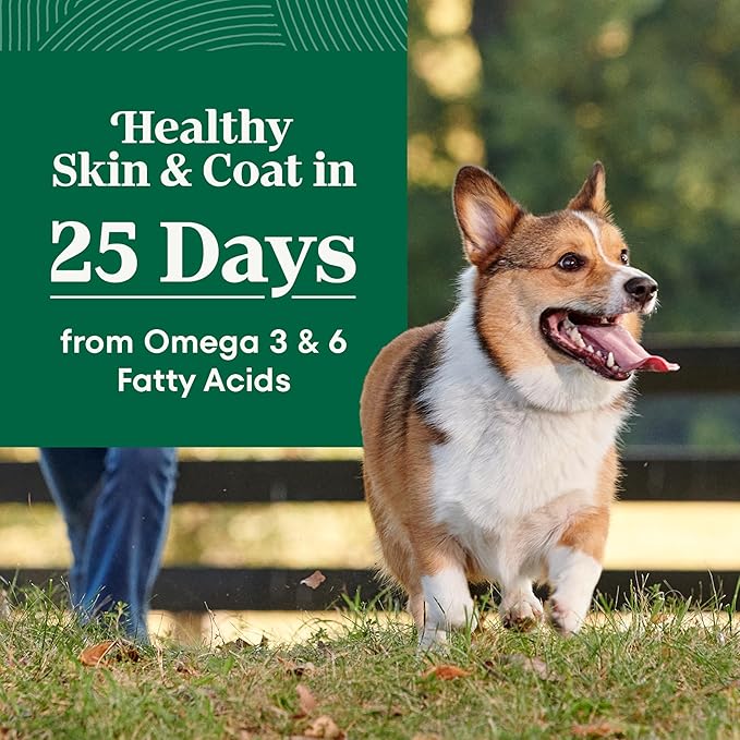 Nutro Natural Choice Small Bites Dry Dog Food, Salmon & Rice, 28 lb | Non-GMO, Real salmon #1 ingredient, Omega-3 & Omega-6 for skin & coat, no corn, wheat, soy, supports digestion & immunity