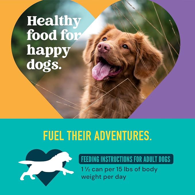 A Strong Heart Beef Stew Dog Food, Peas & Carrots, 13.2oz, 12pk | Stew-style cuts, complete & balanced all life stages, Made in USA, full meal not a topper