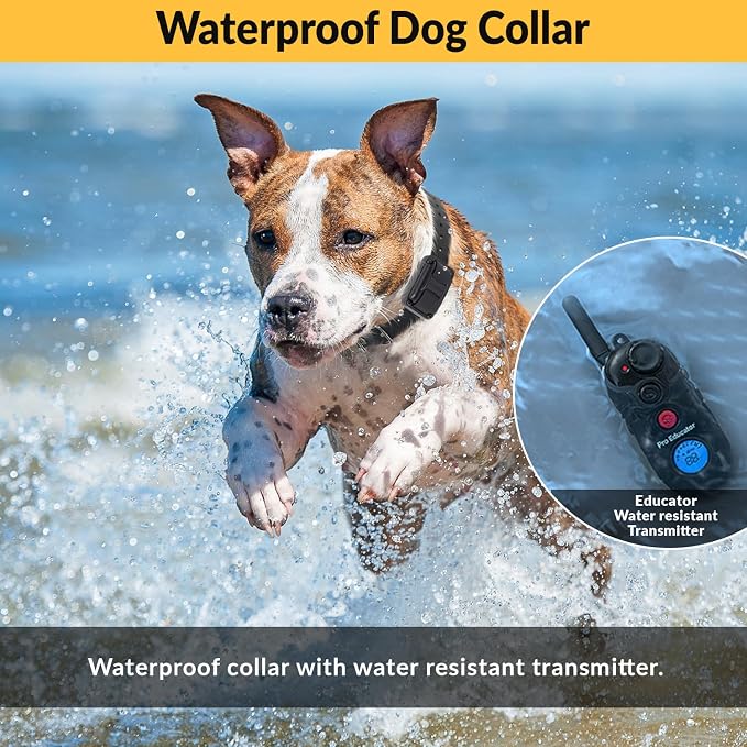 E-Collar Educator Pro Dog Training Collar with Remote, 2 Dogs