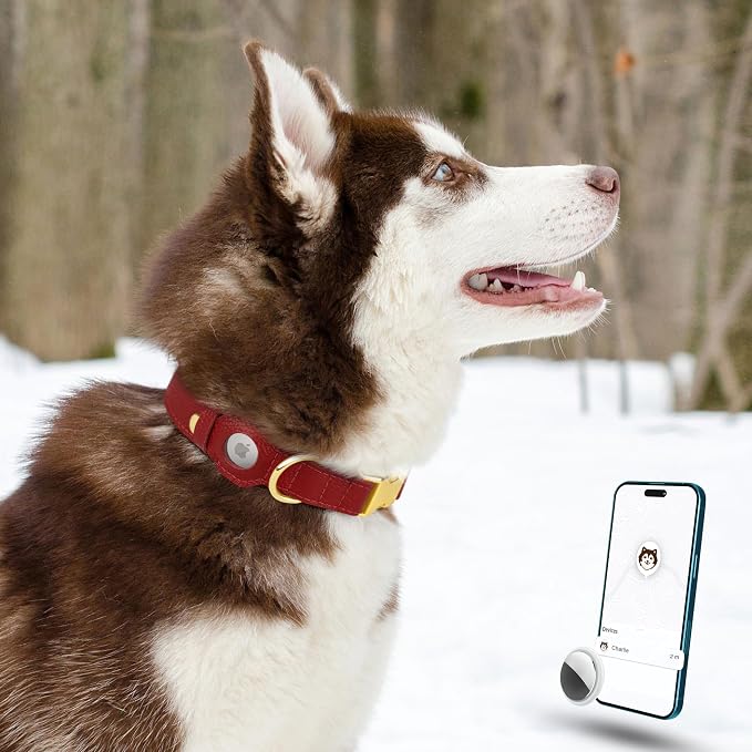 Leather Airtag Dog Collar - Soft Tracking Dog Collar with Apple AirTag Holder and Metal Buckle - Safety GPS Pet Collars for Small Medium Large Dogs Puppy Pink Red (Red, XS, 9"-12" Neck Fit)