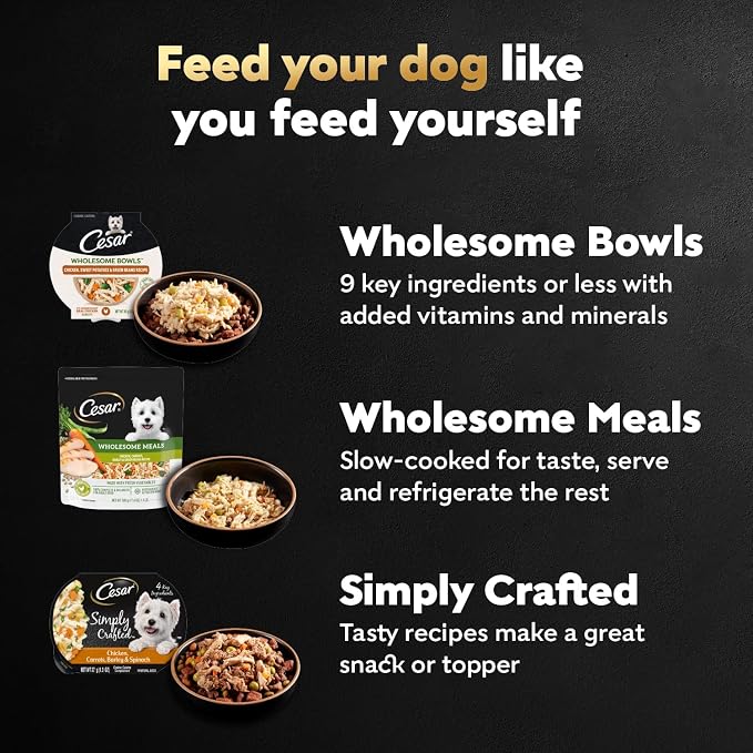 Cesar Wholesome Bowls Wet Dog Food, Chicken Recipe, 3 oz, 10 Count | Real chicken #1 ingredient, slow-cooked, 7 key ingredients, no by-products or artificial flavors, easy to digest
