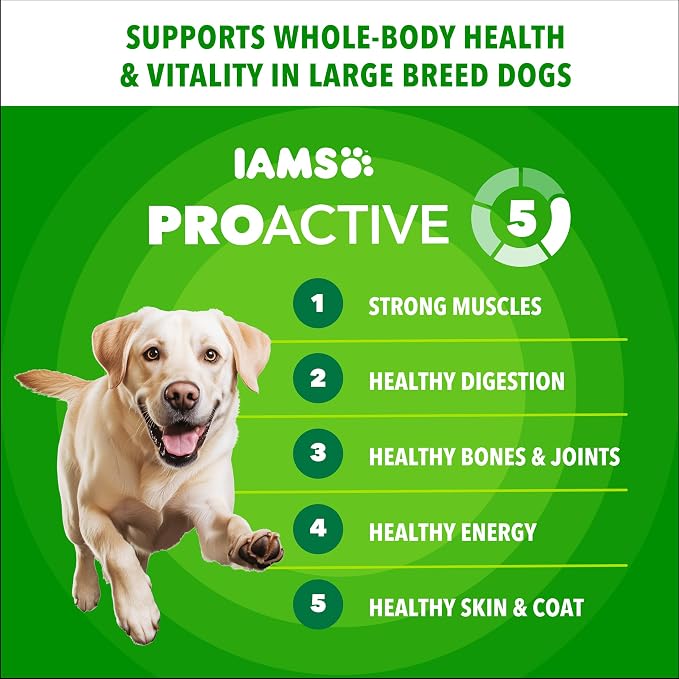 IAMS Proactive Health Large Breed Dry Dog Food, Chicken, 40 lb | Veterinarian-recommended, real chicken #1 ingredient, L-Carnitine for metabolism, Glucosamine & Chondroitin, optimal calcium