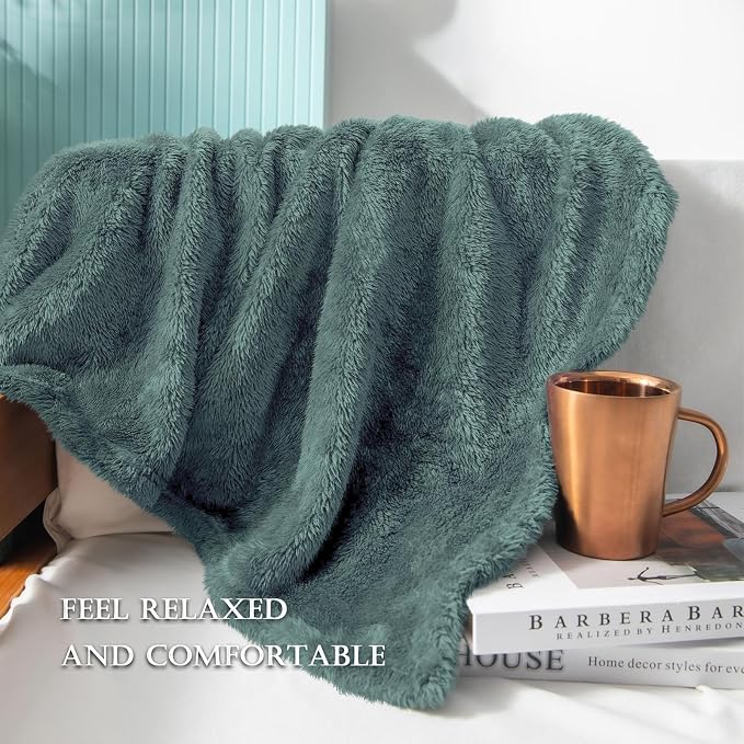 Exclusivo Mezcla Fuzzy Plush Fleece Bed Blanket King Size, Celadon | 104x90 Inches, Super Soft and Cozy Bed Blanket, Fluffy Decorative Bedding for Livingroom, Bedroom, All Season