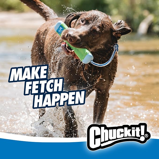 Chuckit! Amphibious Bumper Fetch and Float Toy 2 Sizes Assorted Colors