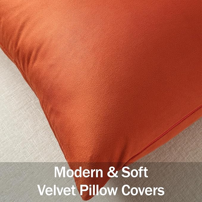 Lumbar Pillow Covers 12x20 Burnt Orange: Pack of 2 Cozy Soft Velvet Rectangular Modern Luxury Decorative Throw Pillow Cases for Sofa Couch Living Room Bed Home Decor