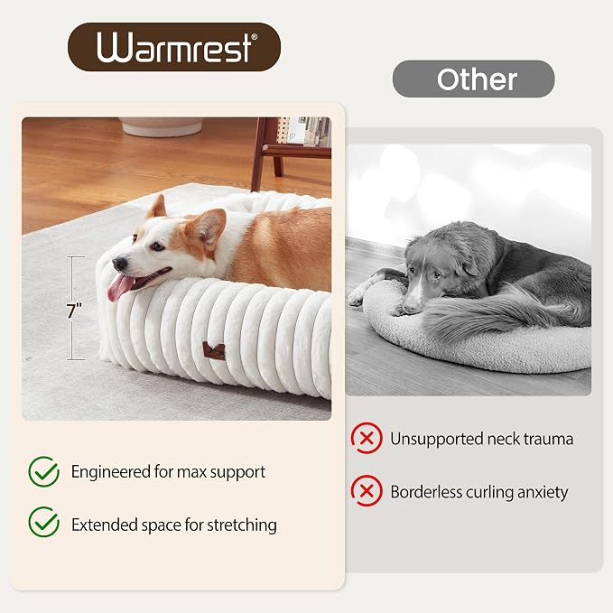 Cute Dog Bed for Small Dogs & Cats,Washable Fluffy Cat Beds for Indoor Cats, Rectangle Orthopedic Memory Foam Puppy Beds with Anti-Slip Bottom, 20 x19 x 6 Inches, Cream (20x19x6 inches)