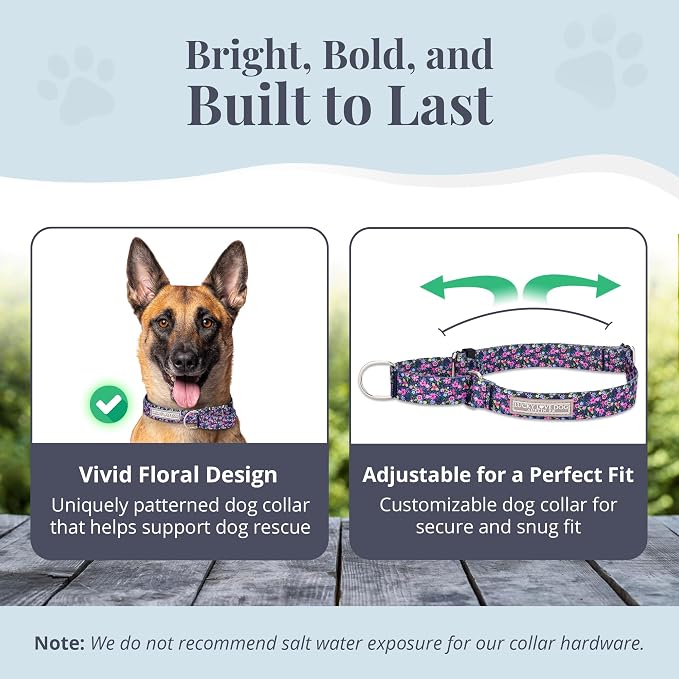 Lucky Love Dog Martingale Collar & Leash Set No Slip Cute – Primrose, Large