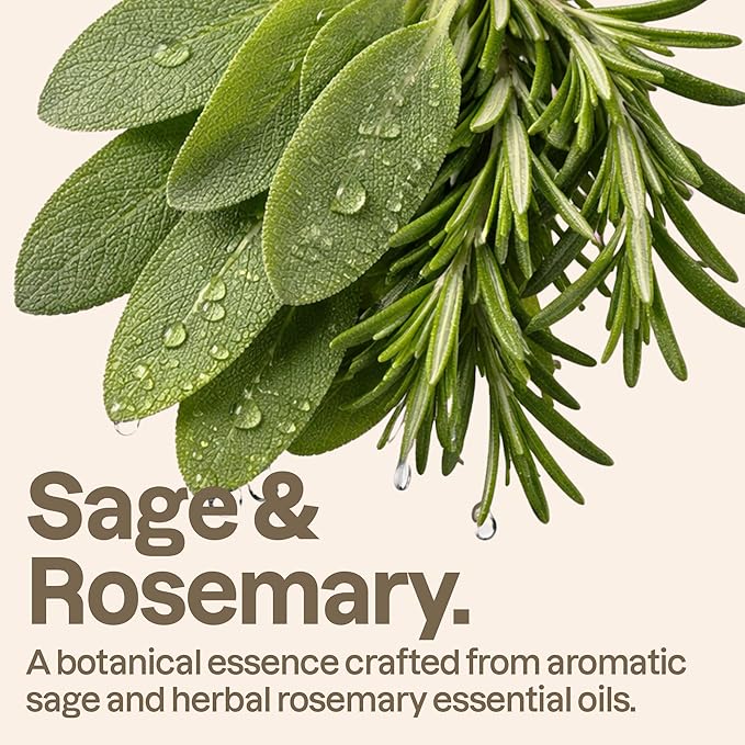 ATTITUDE Body Wash with Essential Oils, Moisturizing Shower Gel, Gentle Daily Cleanser, EWG Verified, Vegan Clean Beauty Skin Care, Sage & Rosemary, 15 Fl Oz