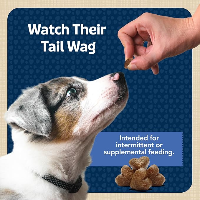 Blue Buffalo Bits Soft Dog Treats for Training, Made with Natural Ingredients & Enhanced with DHA, Chicken Recipe, 19-oz Bag (Pack of 4)