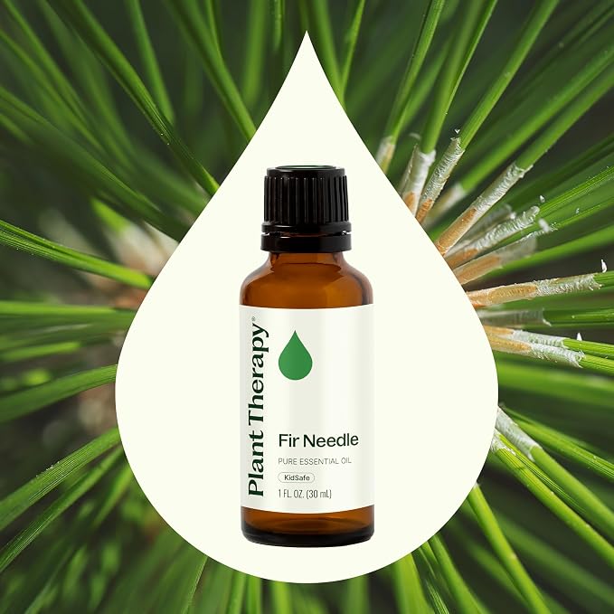 Plant Therapy Fir Needle Essential Oil 30 mL (1 oz) 100% Pure, Undiluted, Fresh Scent, Respiratory Support, DIY Cleaners