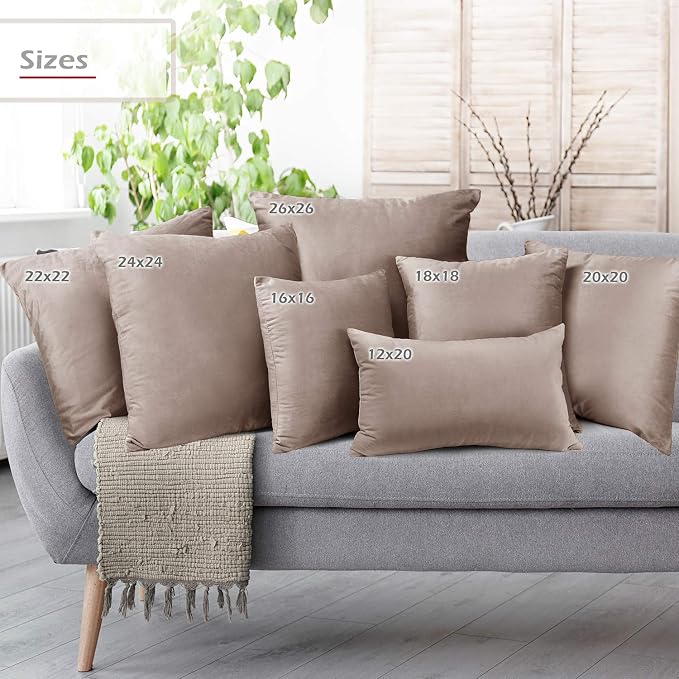 Throw Pillow Inserts Pack of 2 with Velvet Soft Solid Decorative Square Throw Pillow Covers Set for Sofa Couch Car Bedroom, 12X20 Throw Pillows Inserts with 12x18 Washable Cushion Covers, Taupe Sand
