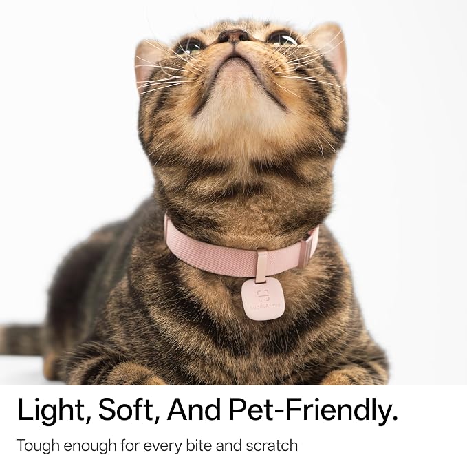 Cat Collar with QR Code Name Tag, 6-12" Adjustable Non Breakaway QR Code Cat Collar Elastic Release Personalized Online Pet Profile Scan Contact Silicone QR ID Tag for Cats (Beige, S)