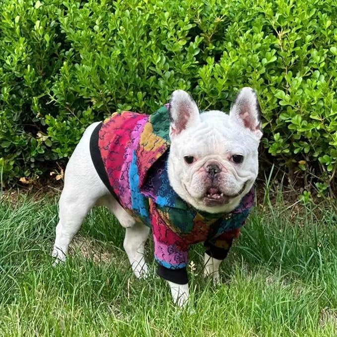 Dog Hoodie Luxury Winter Small Dog Jacket Clothes Classic Designer French Bulldog Teddy Pug Puppy Clothes(XXL)