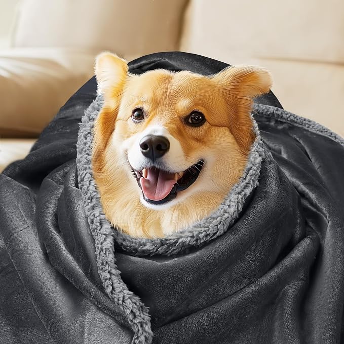 Luciphia Waterproof Pet Blanket, Liquid Pee Proof Dog Blanket for Sofa Bed Couch, Reversible Sherpa Fleece Furniture Protector Cover for Small Medium Large Dogs Cats, Dark Gray X-Large（85" x 57"） | waterproof pet blanket sherpa fleece reversible couch ...