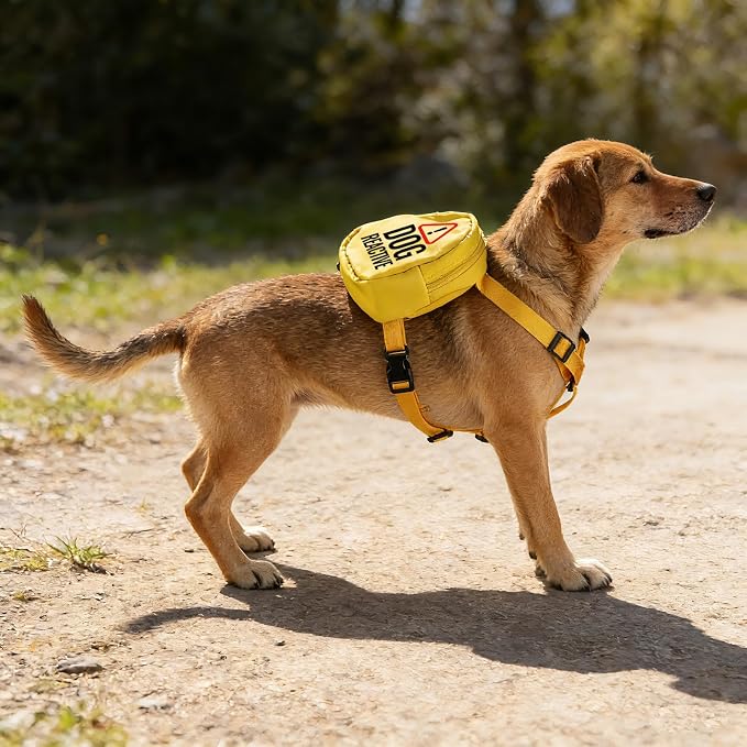 Reactive Dog Backpack Dog Reactive Travel Bag Dog Walking Slogan Puppy Snack Storage (Dog Reactive)