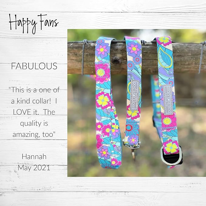 Lucky Love Dog Martingale Collar & Leash Set No Slip Cute – Caroline, Small