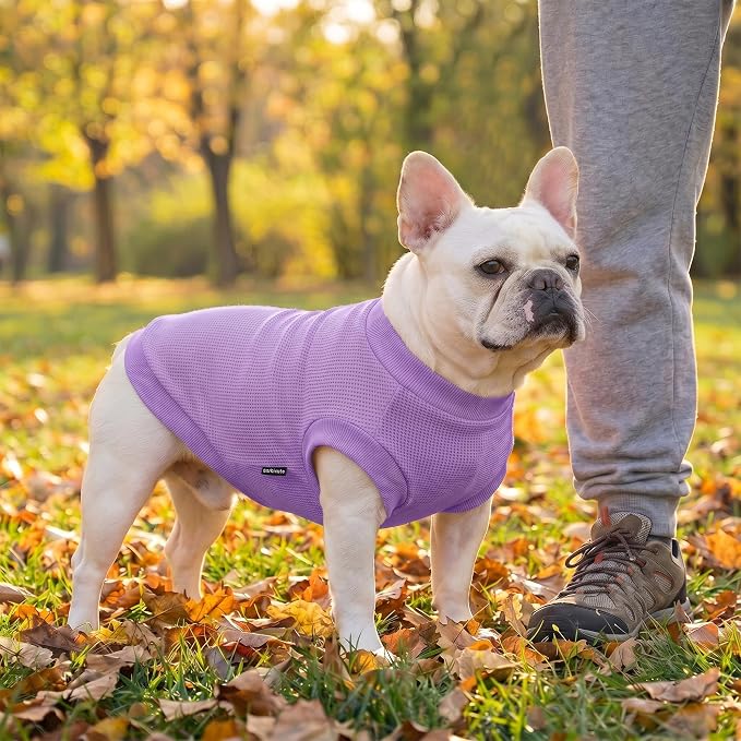 2 Pack Dog Shirt for Small Supplies Functional Waffle Dog Clothes Warm Soft Sweatshirt Outfit for Dogs Cats Pet Apparel