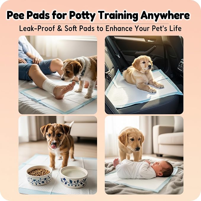 MoMoCo 23x23 Pink Puppy Pads 100ct, 6-Layer Dog Pee Pads for Small Dogs
