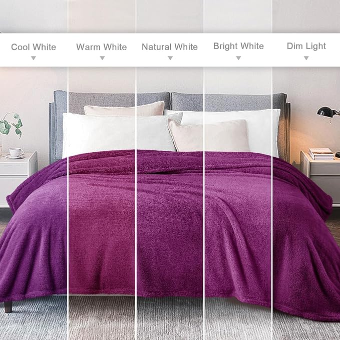 Exclusivo Mezcla Soft Plush Fleece Twin Size Blankets for Bed Living Room | Lightweight Fuzzy Fluffy Large Blanket for All Seasons, Cozy Velvet for Women Men, Machine Washable, 60"x80", Purple