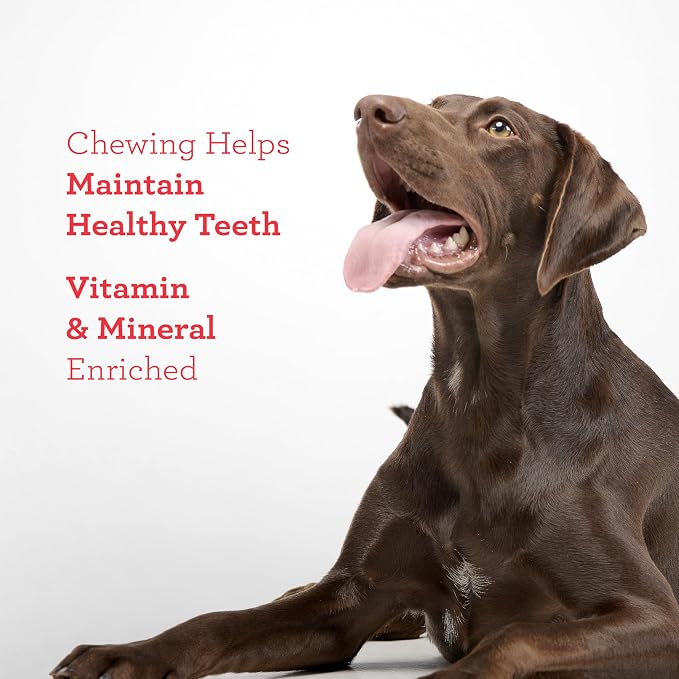 DreamBone Twist Stick Sirloin Rawhide-Free Dog Treats, 15 Count | Daily Chew, Digests Safely and Completely, Made With Real Protein, Chicken and Veggies, For Adult Dogs