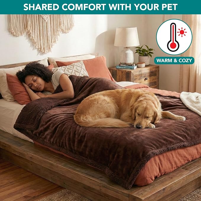 PetAmi Waterproof Dog Blanket for Large Dog Cat Pet, 60x80, Brown Sherpa | 460 GSM Sherpa Fleece Reversible, Pee Proof, Furniture Protector Cover for Couch Sofa Bed Kennel, Washable, Extra Large