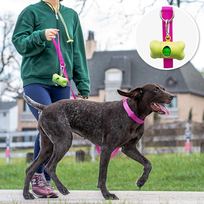 azuza Nylon Dog Collar and Leash Set, Strong & Durable Basic Style Leash and Collar with ID Tag Ring, Available in Multiple Lengths for Small Dogs, Purple,S